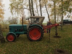 Pflanzaktion TSV Sportplatz 2016