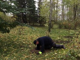 Pflanzaktion TSV Sportplatz 2016