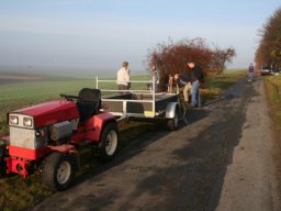 Pflanzaktion Weg zum Sportplatz 2008