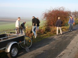 Pflanzaktion Weg zum Sportplatz 2008