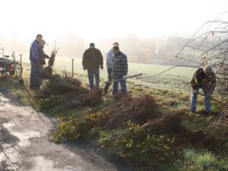 Pflanzaktion Weg zum Sportplatz 2008