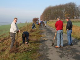 Pflanzaktion Weg zum Sportplatz 2008