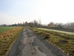 Pflanzaktion Weg zum Sportplatz 2008