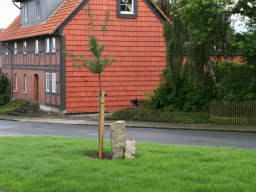 Insel Semmenstedter Str. August 2012