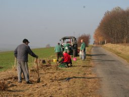 Pflanzaktion Bäume November 2011