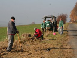 Pflanzaktion Bäume November 2011
