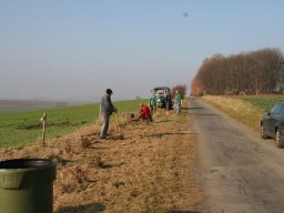 Pflanzaktion Bäume November 2011