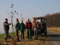 Pflanzaktion Bäume November 2011