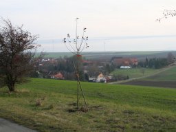 Pflanzaktion Bäume November 2011