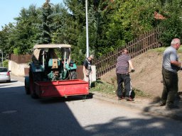 Pflanzaktion Rosenbeet August 2011