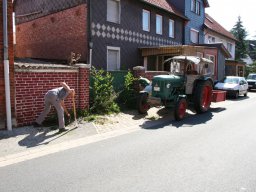 Pflanzaktion Rosenbeet August 2011