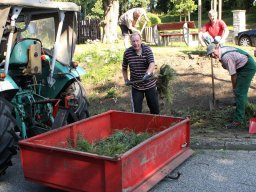 Pflanzaktion Rosenbeet August 2011